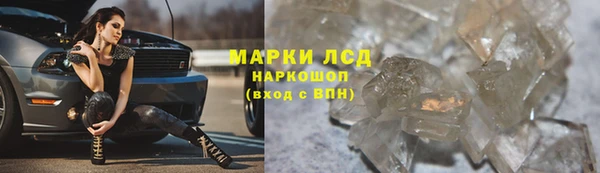 дживик Богородск